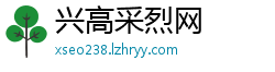 兴高采烈网